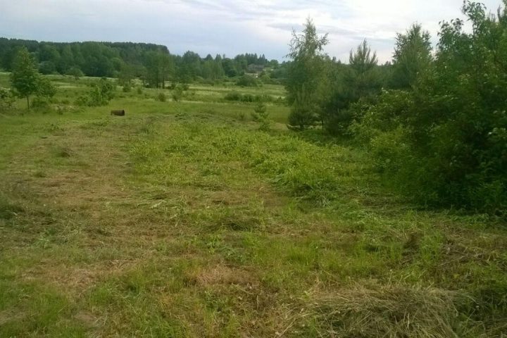 Покос высокой травы на открытом участке — после работ