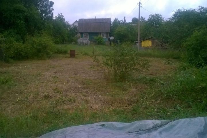 Покос и расчистка дачного участка — после работ